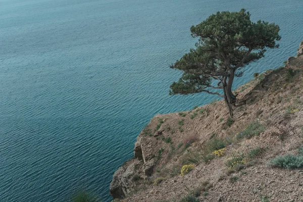 Гори Море Природа Подорожі Фону Туризм Криму Красиві Пейзажі — стокове фото