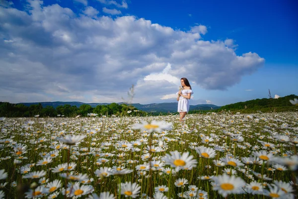 Bella Donna Godendo Campo Margherita Bella Femmina Sdraiata Nel Prato — Foto Stock