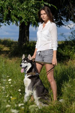 Komik husky köpek ile açık havada parkında oynayan güzel ve genç birbayan. Yaz ve günbatımı