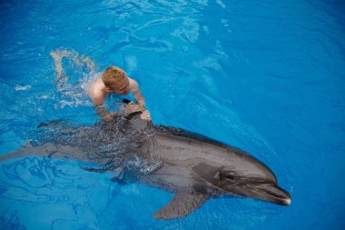 mutlu yüz dolphinarium yunus ile
