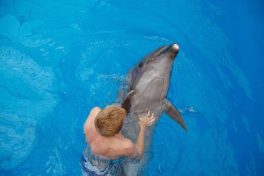 mutlu yüz dolphinarium yunus ile