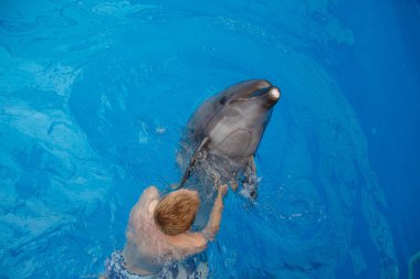 mutlu yüz dolphinarium yunus ile