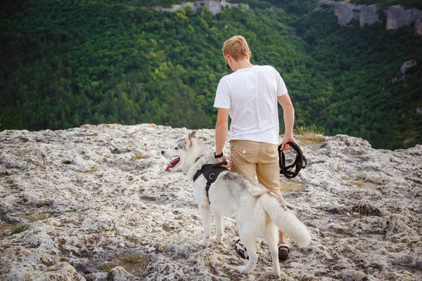 uzun yürüyüşe çıkan kimse ile dağlarda güzel manzaraya bakarak Sibirya husky köpek