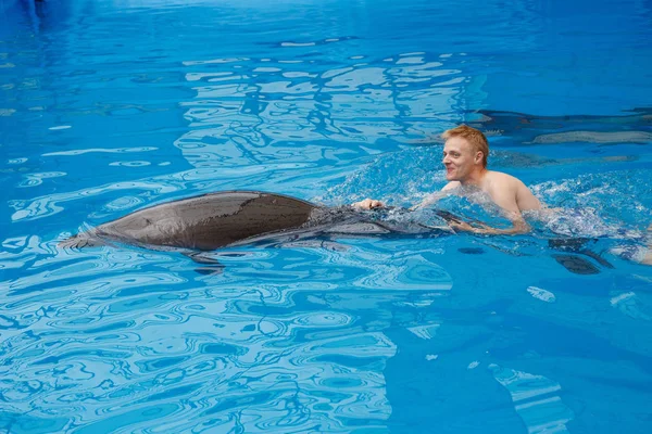 happy man swim with dolphin in dolphinarium