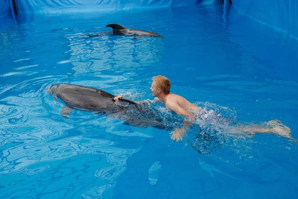 Happy Man Swim Dolphin Dolphinarium — Stock Photo, Image