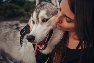 Gün batımında dağlarda bir köpek (gri ve beyaz husky) ile güzel kız çalış