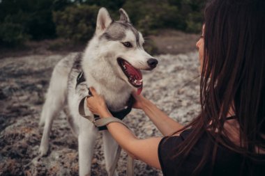 Gün batımında dağlarda bir köpek (gri ve beyaz husky) ile güzel kız çalış