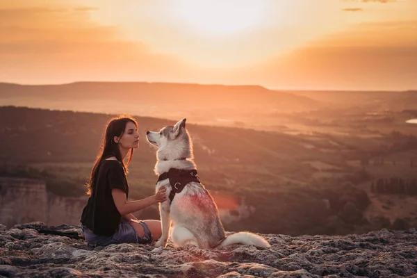 Bella Ragazza Gioca Con Cane Grigio Bianco Husky Montagna Tramonto — Foto Stock