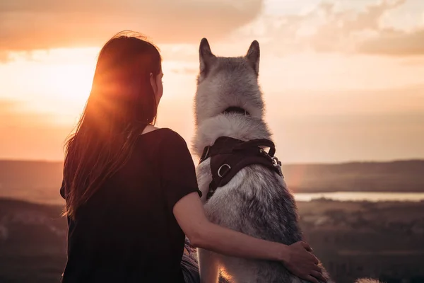 Bella Ragazza Gioca Con Cane Grigio Bianco Husky Montagna Tramonto — Foto Stock