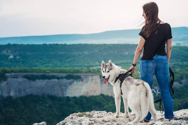 Gün batımında dağlarda bir köpek (gri ve beyaz husky) ile güzel kız çalış