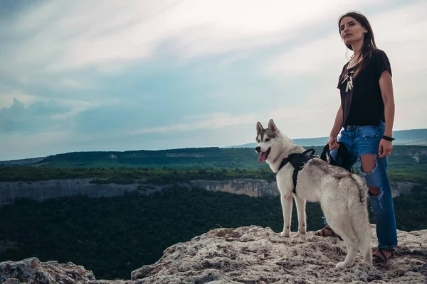 Gün batımında dağlarda bir köpek (gri ve beyaz husky) ile güzel kız çalış