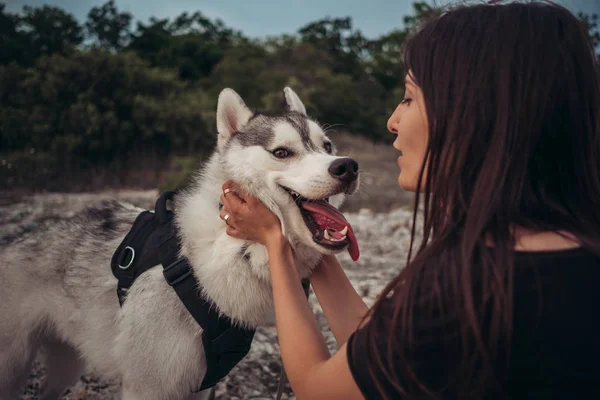 Bella Ragazza Gioca Con Cane Grigio Bianco Husky Montagna Tramonto — Foto Stock