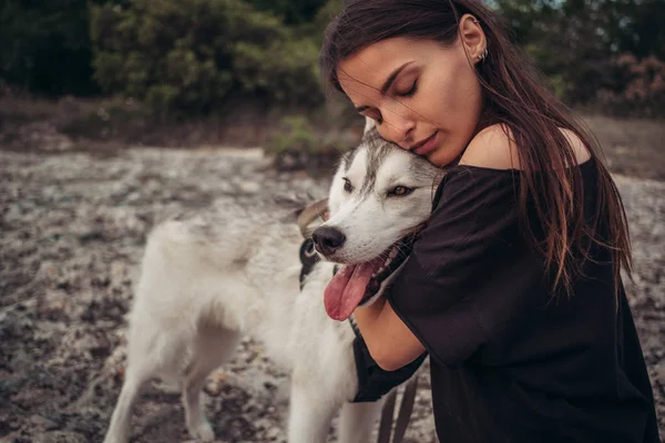 Gün batımında dağlarda bir köpek (gri ve beyaz husky) ile güzel kız çalış