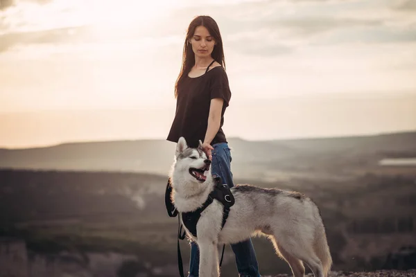 Mooi Meisje Speelt Met Een Hond Grijze Witte Husky Bergen — Stockfoto