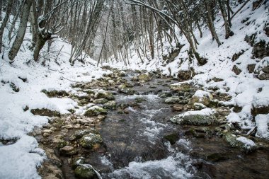 Ahşap Nehri ile kış manzara. Rus kış. Ctimea Grand Canion