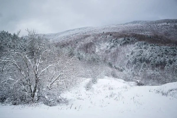 Soğuk ve güneşli bir gün dağlarda olduğunu. Kar kış dağ gölü erkenden