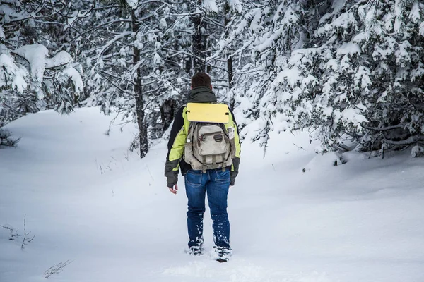 Uomo Cammina Attraverso Una Foresta Innevata Paesaggio Invernale — Foto Stock
