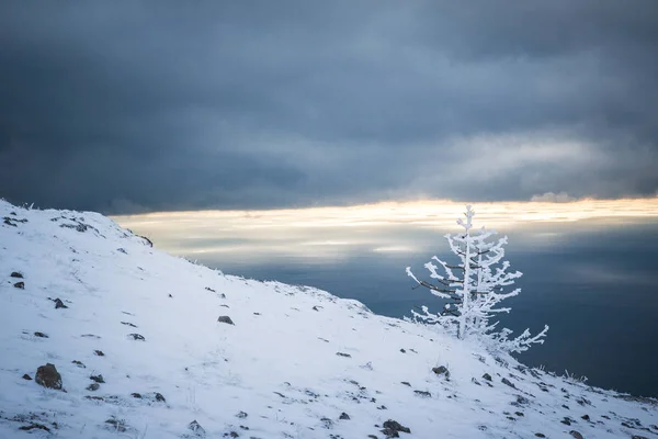 Горах Морозный Солнечный День Снежное Горное Озеро Яркое Раннее — стоковое фото