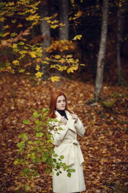 Beyaz önlük sonbaharda kırmızı saçlı güzel, romantik ve hüzünlü kız portresi.