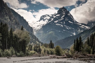 Mount cook bulutların üstünde tepe. Dağlarda yaz. Kuzey Kafkasya. Dombay. Karaçay-çerkez Cumhuriyeti, Rusya Federasyonu.