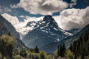 Mount cook bulutların üstünde tepe. Dağlarda yaz. Kuzey Kafkasya. Dombay. Karaçay-çerkez Cumhuriyeti, Rusya Federasyonu.