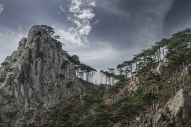 Mount cook bulutların üstünde tepe. Dağlarda yaz. Kuzey Kafkasya. Dombay. Karaçay-çerkez Cumhuriyeti, Rusya Federasyonu.