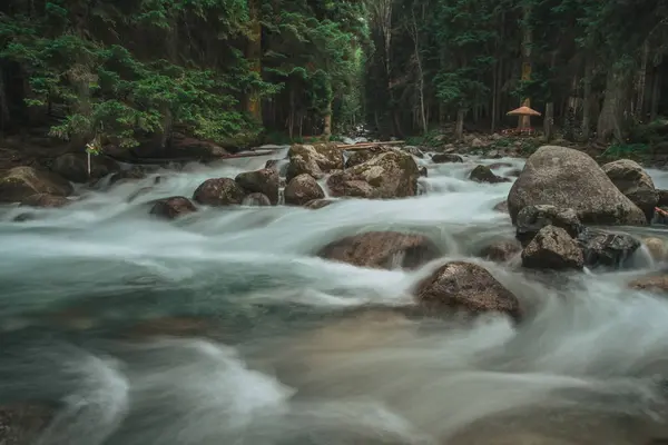 Кидаючись Синій Річка Гірничо Лісовій Гірський Ландшафт Північно Кавказький — стокове фото