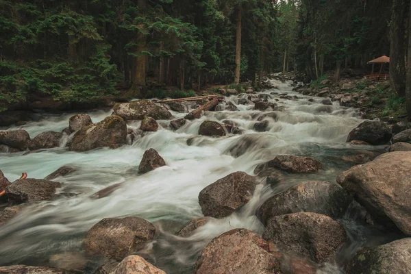 Correndo Rio Azul Uma Floresta Montanha Paisagem Montesa Norte Cáucaso — Fotografia de Stock