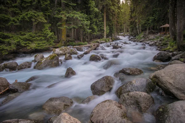 mavi nehir bir dağ ormanda acele. Dağ manzarası. Kuzey Kafkasya
