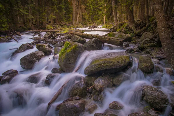 Rushing Blue River Mountain Forest Mountain Landscape North Caucasus — Stock Photo, Image