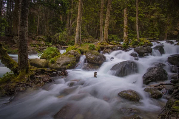 rushing blue river in a mountain forest. Mountain landscape. North Caucasus