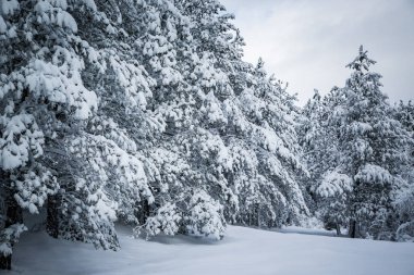 Soğuk ve güneşli bir gün dağlarda olduğunu. Kar kış dağ gölü erkenden