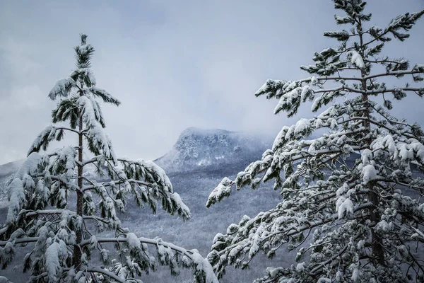 A frosty and sunny day is in mountains. Snow winter mountain lake bright and early