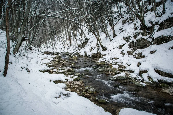 Ahşap Nehri ile kış manzara. Rus kış. Ctimea Grand Canion