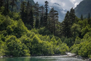 Dağ Ormanı Göl manzarası