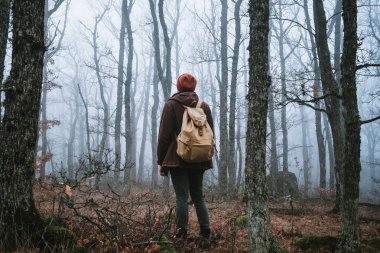 spooky ormanı karanlık bir yolda yürüyen adam