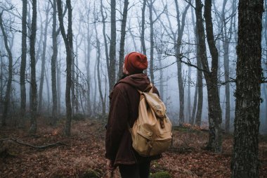 spooky ormanı karanlık bir yolda yürüyen adam