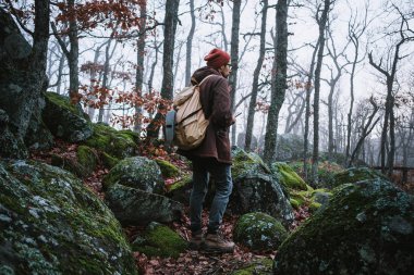 spooky ormanı karanlık bir yolda yürüyen adam
