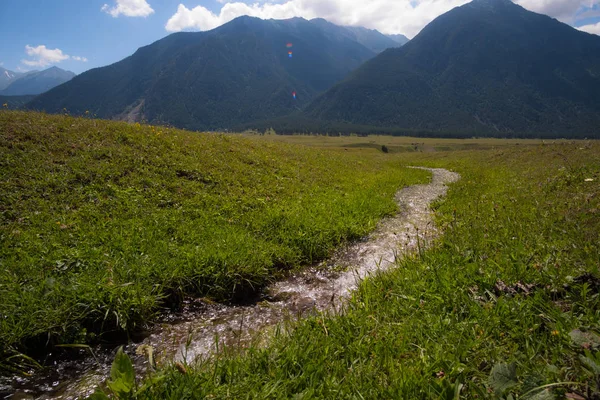 Un pequeño arroyo en las montañas del Cáucaso Norte — Foto de Stock