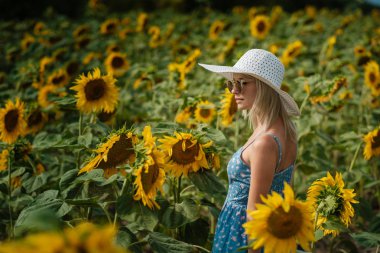 Ayçiçeği, bir alanda yürüyüş bir mavi elbiseli güzel tatlı seksi kızı gülümseyen güzel gülümseme, neşeli kız, tarzı, yaşam tarzı, reklam ve fotoğraf güneş için ideal parlak ve sulu parlar