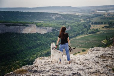 Güzel kız bir köpeği, gri ve beyaz husky, gün batımında dağlarda çalış.