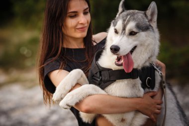 Güzel kız bir köpeği, gri ve beyaz husky, gün batımında dağlarda çalış.