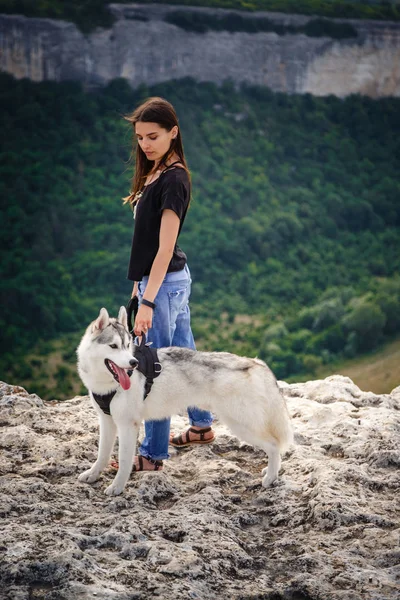 Vacker flicka leker med en hund, grått och vitt husky, i bergen i solnedgången. — Stockfoto