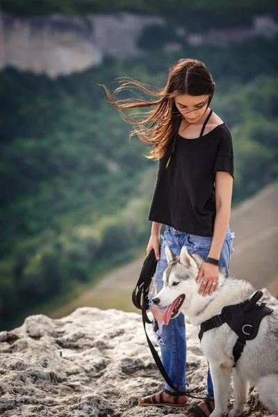 Vacker flicka leker med en hund, grått och vitt husky, i bergen i solnedgången. — Stockfoto