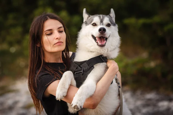 Schönes Mädchen spielt mit einem Hund, einem grauen und weißen Husky, in den Bergen bei Sonnenuntergang. — Stockfoto