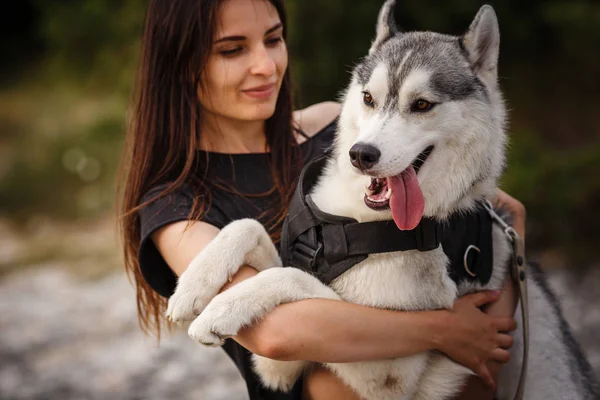 Bella ragazza gioca con un cane, grigio e bianco husky, in montagna al tramonto . — Foto Stock