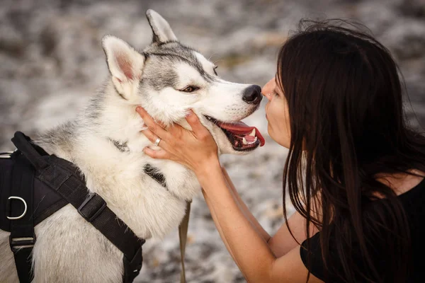 Piękna dziewczyna bawi się pies, szary i biały husky, w górach na zachodzie słońca. — Zdjęcie stockowe