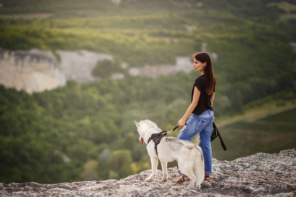 Vacker flicka leker med en hund, grått och vitt husky, i bergen i solnedgången. — Stockfoto