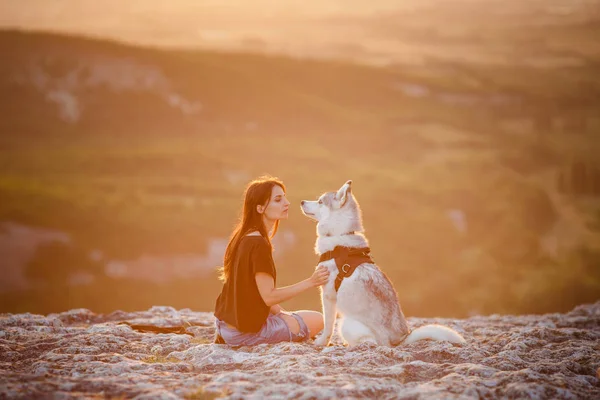Schönes Mädchen spielt mit einem Hund, einem grauen und weißen Husky, in den Bergen bei Sonnenuntergang — Stockfoto