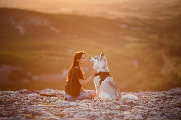 Mooi meisje speelt met een hond, grijs en wit husky, in de bergen bij zonsondergang — Stockfoto